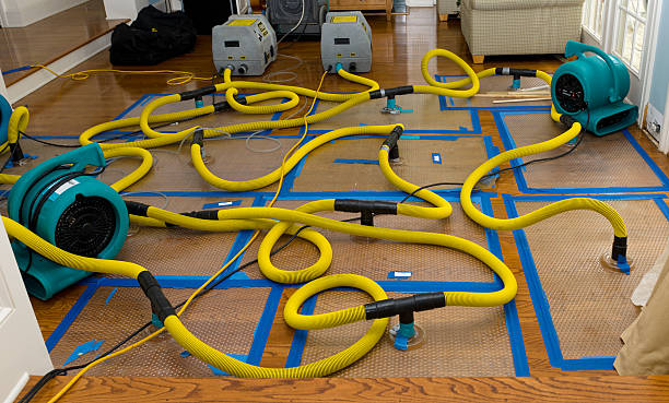 Professional Structural Drying And Dehumidification technician working in Rougemont, NC